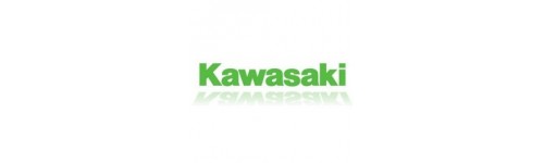 Kawasaki